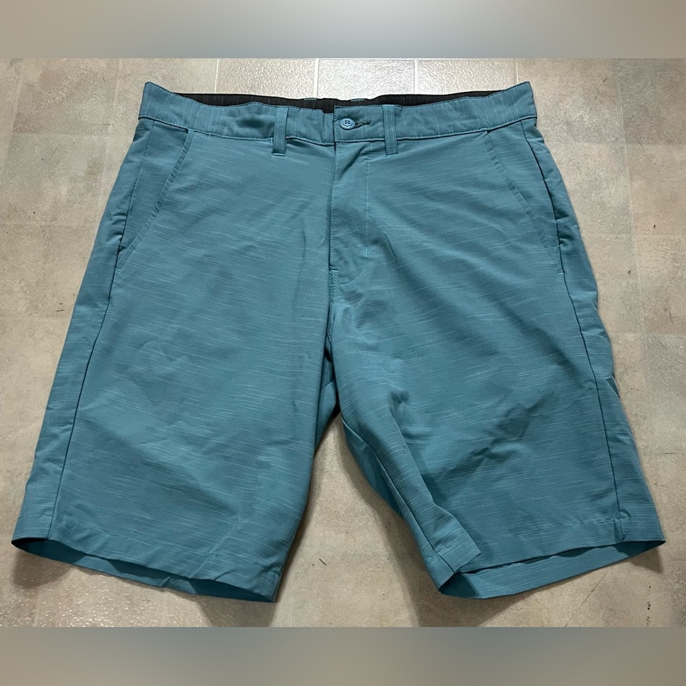 Burnside Aqua Stripe Shorts Size 34